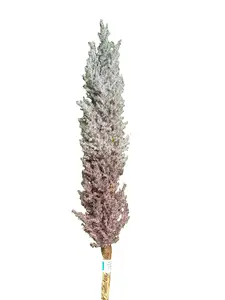 84 Inch Purple Pampas Grass Spray