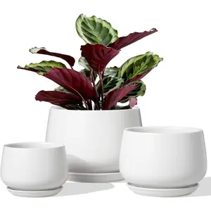 Ceramic  Pots, 4.1+5.1+6.5 inch, Set of 3, Planters with Drainage Ho and Saucer, Indoor Flower Pot with Ho Mesh Pad, Gifts for Mom, White