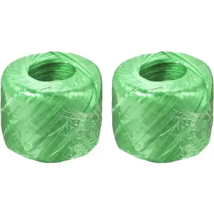 Polyester Nylon Plastic Rope Twine, Household Bundling for Packing Gardening Craft, 300m Total Length, Green, Pack of 2