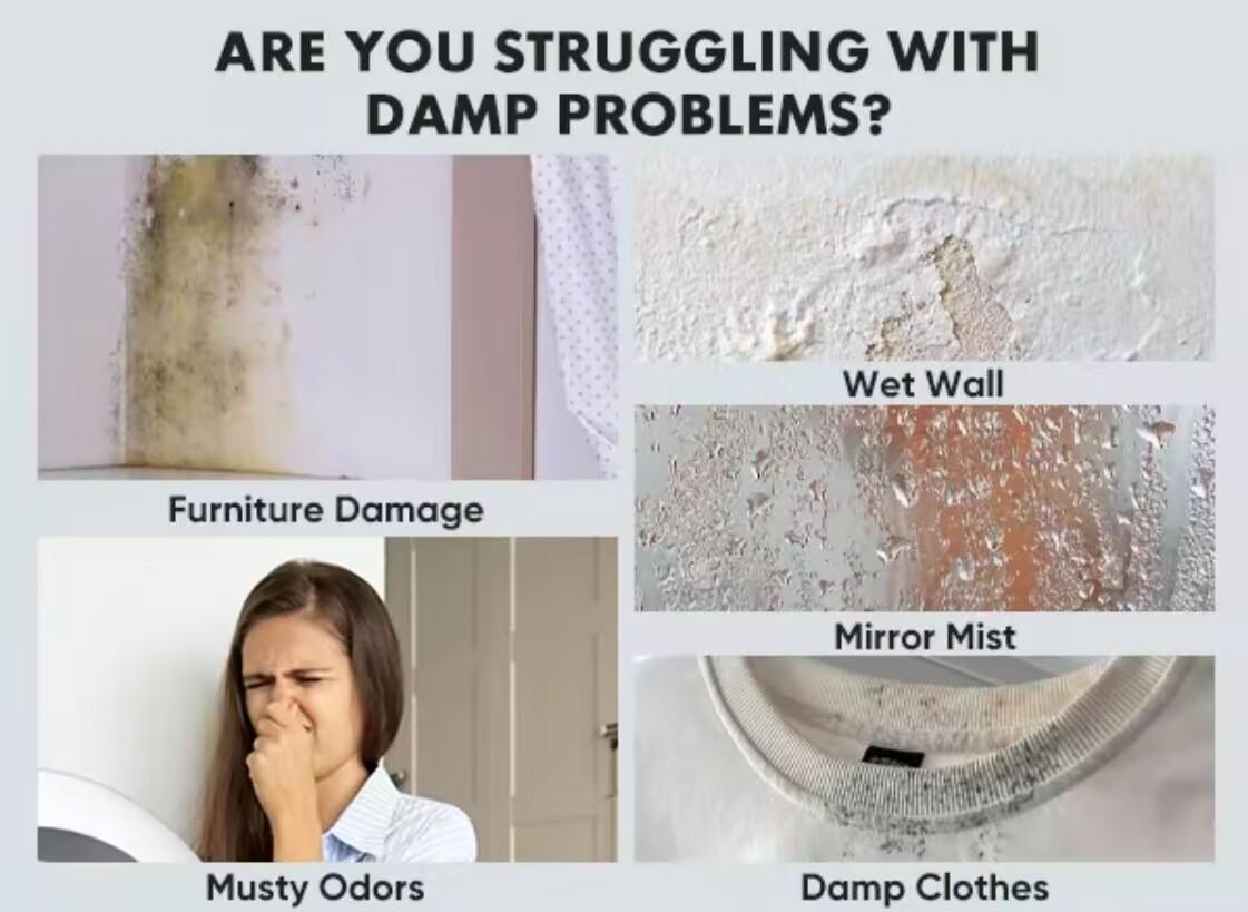 Crafted Comforts Dehumidifier 50 Pint Portable Dehumidifier for Basement, Bedroom, and Large Room with Drain Hose