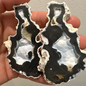 Agatized Coral Geode/Fossil| Sky Blue center pattern with Black Druzy Quartz Crystals Matching set Unpolished