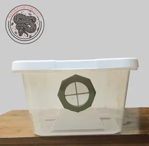 RedRayne Exotics Ventilated 6qt Isopod Bin with Built-in Vents for Invertebrates