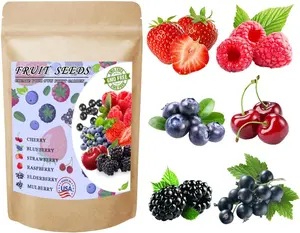1100PCS Mixed Fruit & Berry Seeds for Planting, Strawberry, Raspberry, Mulberry, Blueberry, Elderberry & Cherry Seeds, Individually Packaged for Home Garden