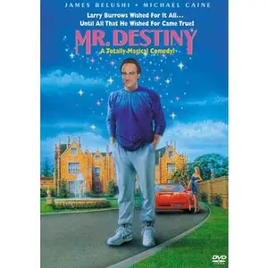 USED-Mr. Destiny (DVD)