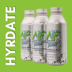 Artesian Fusion Natural Mineral Water.  12 pack-500ml/16.9oz Aluminum Bottles