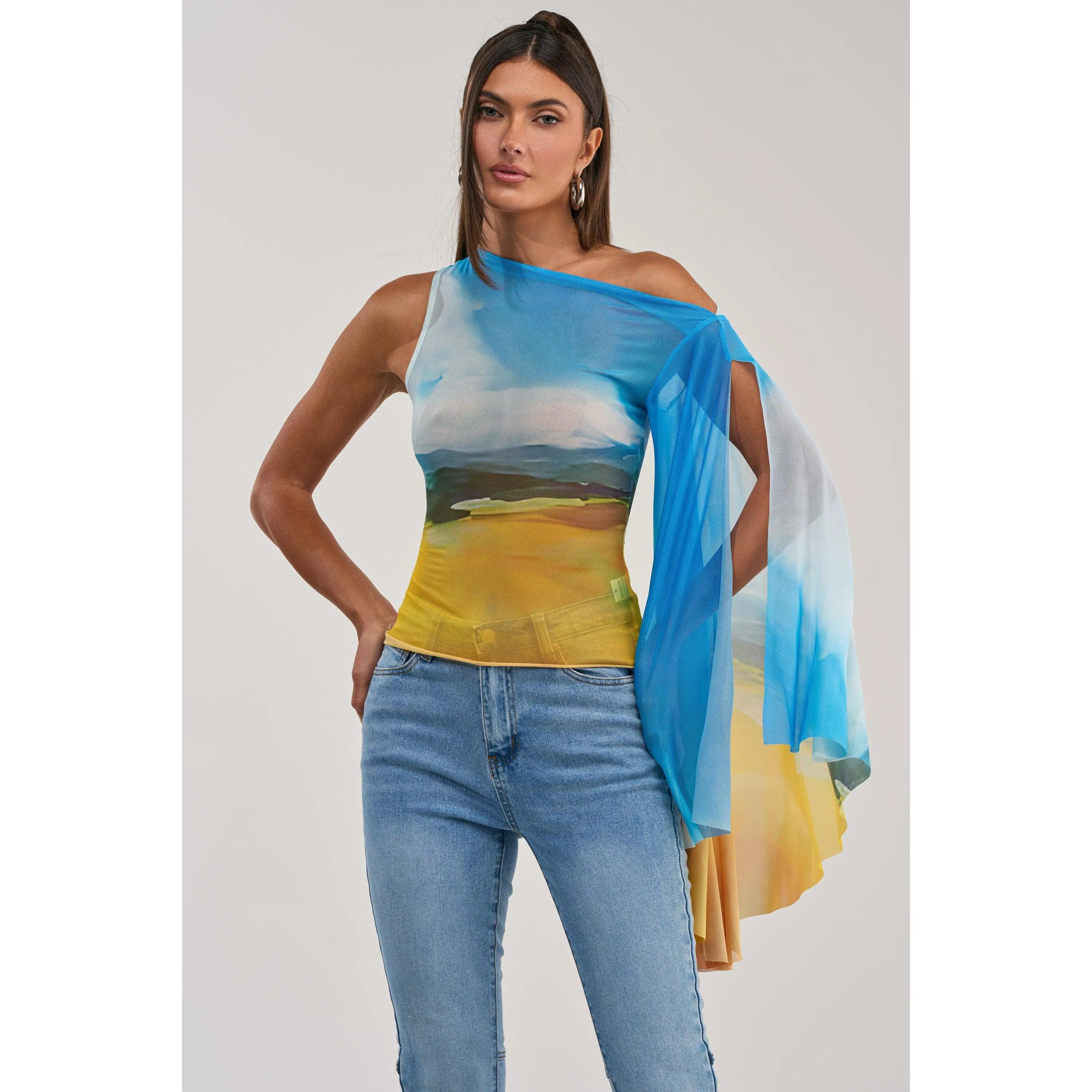 PICTURESQUE LONG SLEEVE MESH TOP