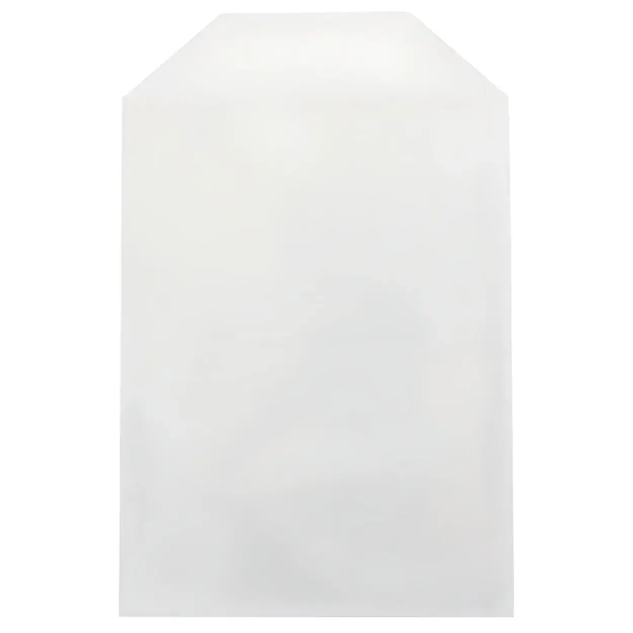 CPP Clear Plastic Sleeve with Flap 80g (Fits 14mm DVD Case Artwork)
