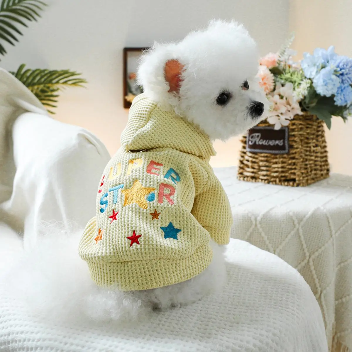 Star Print Pet Hoodie, Cute Pet Clothes, Comfortable Pet Clothing for Small Medium Large Dogs, Fashionable Pet Clothes for Daily Wear