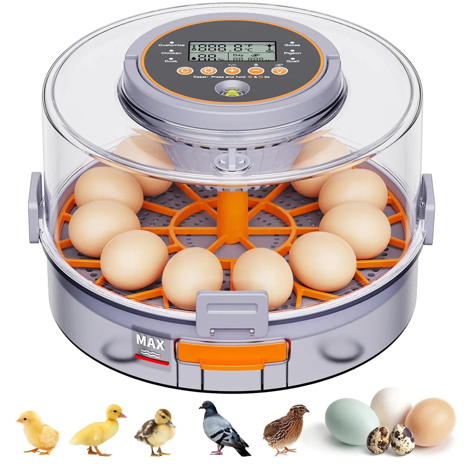 Smart Egg Incubator for Chicken Duck & Quail Eggs, Auto Turning & Humidity Control, Easy Hatch Success for Beginners & Families Automatic Chicken and Quail Egg Incubator manual mode watering