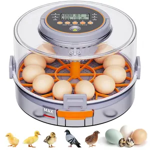 Smart Egg Incubator for Chicken Duck & Quail Eggs, Auto Turning & Humidity Control, Easy Hatch Success for Beginners & Families Automatic Chicken and Quail Egg Incubator