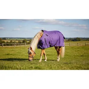 Solid Deep Purple Light Weight Horse Blanket w/ Removable Neck Cover *Sample Sale*
