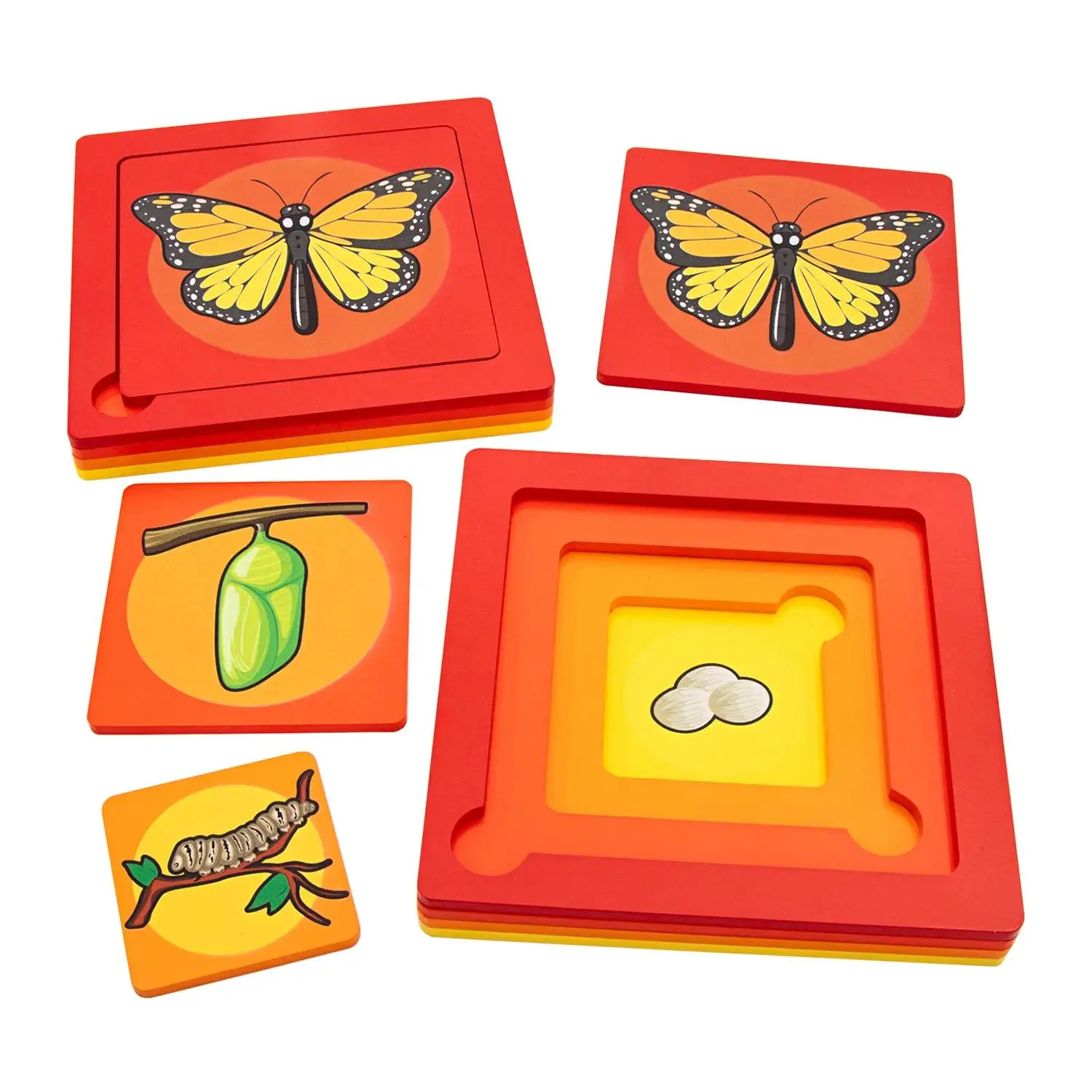 Fun Express 7 1/2" x 7 1/2" Butterfly Life Cycle Educational Wood Stacking Puzzle - 4 Pc.