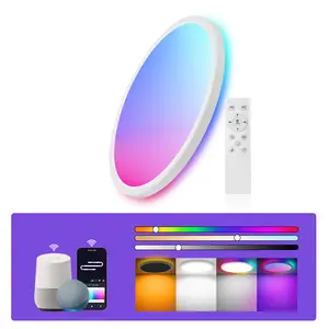 12 Inch Smart Ceiling Light Fixture RGB LED Flush Mount 24W 2400LM Ultra-Slim with Remote 16 Million Colors Alexa Google Home Compatible Vibrant Lighting Experience