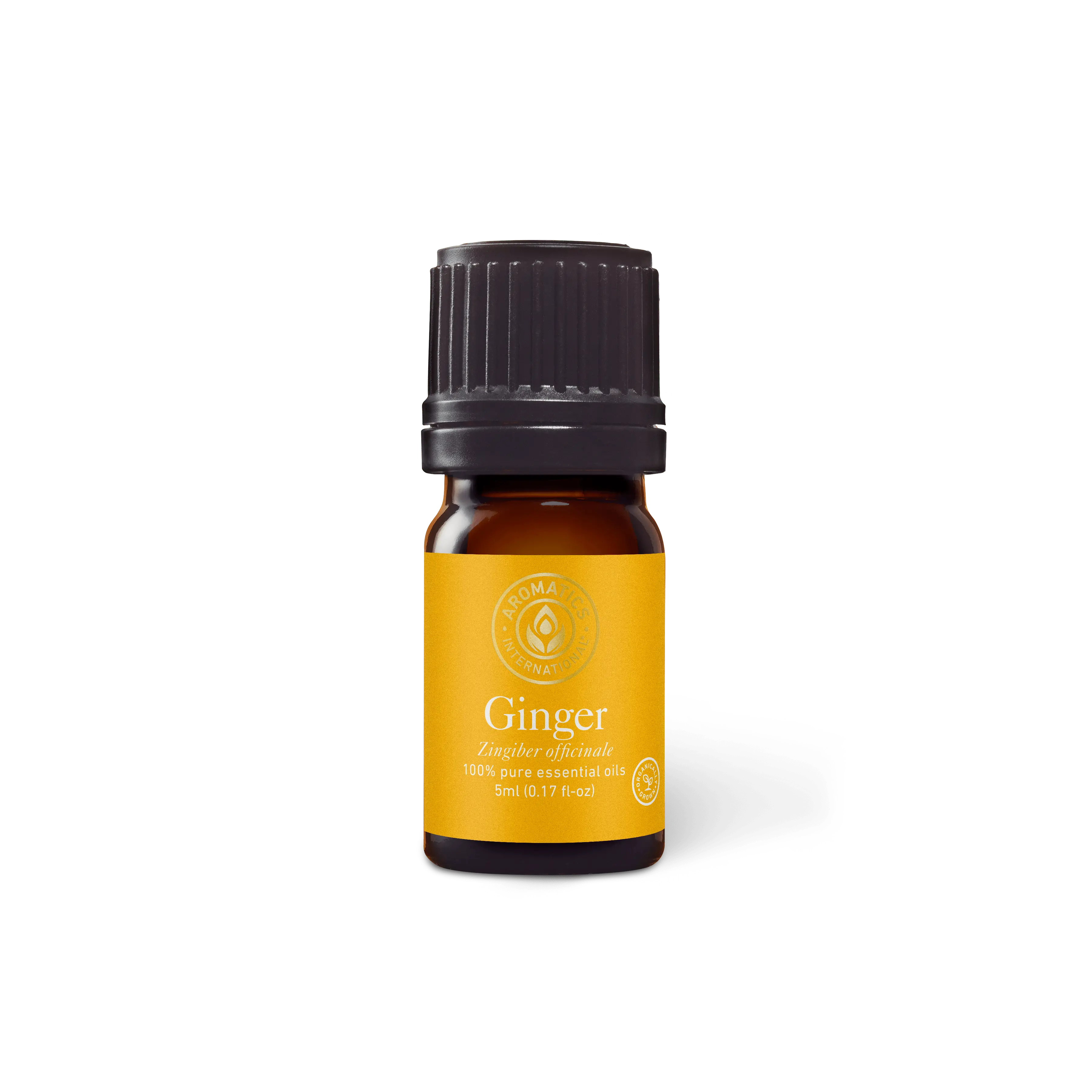 Ginger Essential Oil for Therapeutic Aromatherapy Wellness Solution