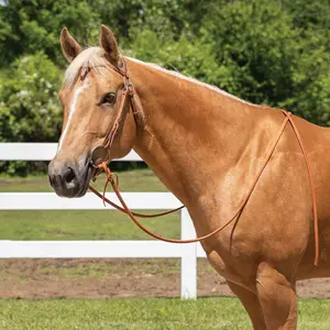 Schneiders Harness Leather Futurity Quick Change Browband Headstall
