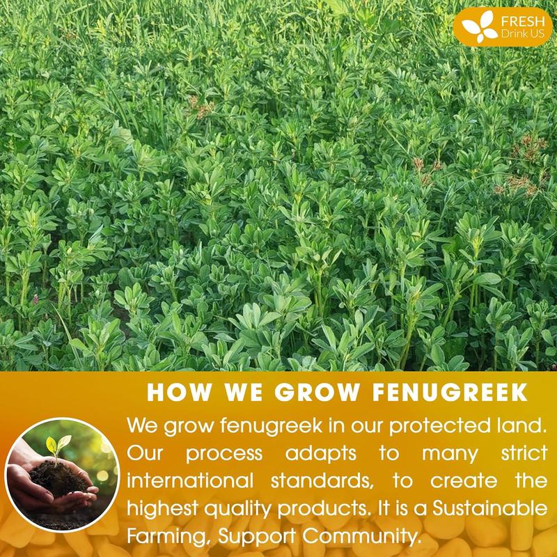 FreshDrinkUS, Premium 55 Fenugreek Tea Bags, 100% Natural & Pure from Fenugreek. Fenugreek Herbal Tea. Made with Natural Material Tea Bags. No Sugar, No Caffeine, No Gluten, Vegan.