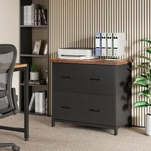 LITTLE TREE 2 Drawer File Cabinet for Home Office, 30.7-Inch Lateral Office Cabinet for A4 and Letter Size Files, Printer Stand, Storage Cabinet Organizer