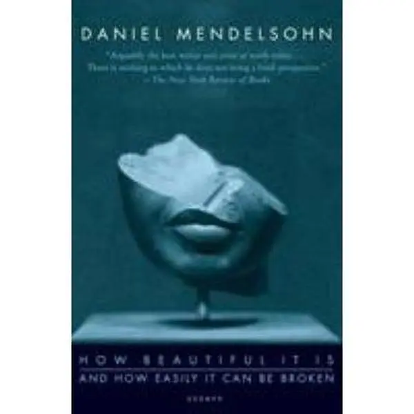 Used Literary Works - "How Beautiful It Is and How Easily It Can Be Broken" Essays by Essayist Daniel Mendelsohn (English Paperback)