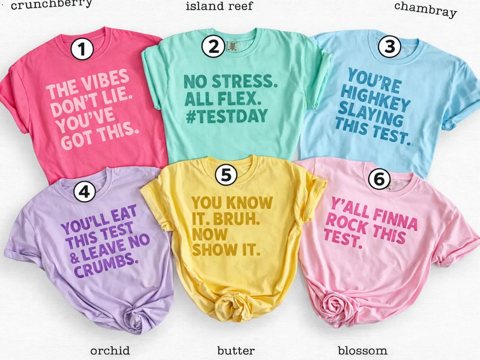 Custom Test Day TShirt, Matching State Testing Shirts, Teacher Team T-Shirts, Comfort Colors, Gen Z School Testing Day Tee, Testing Coordinator Shirt