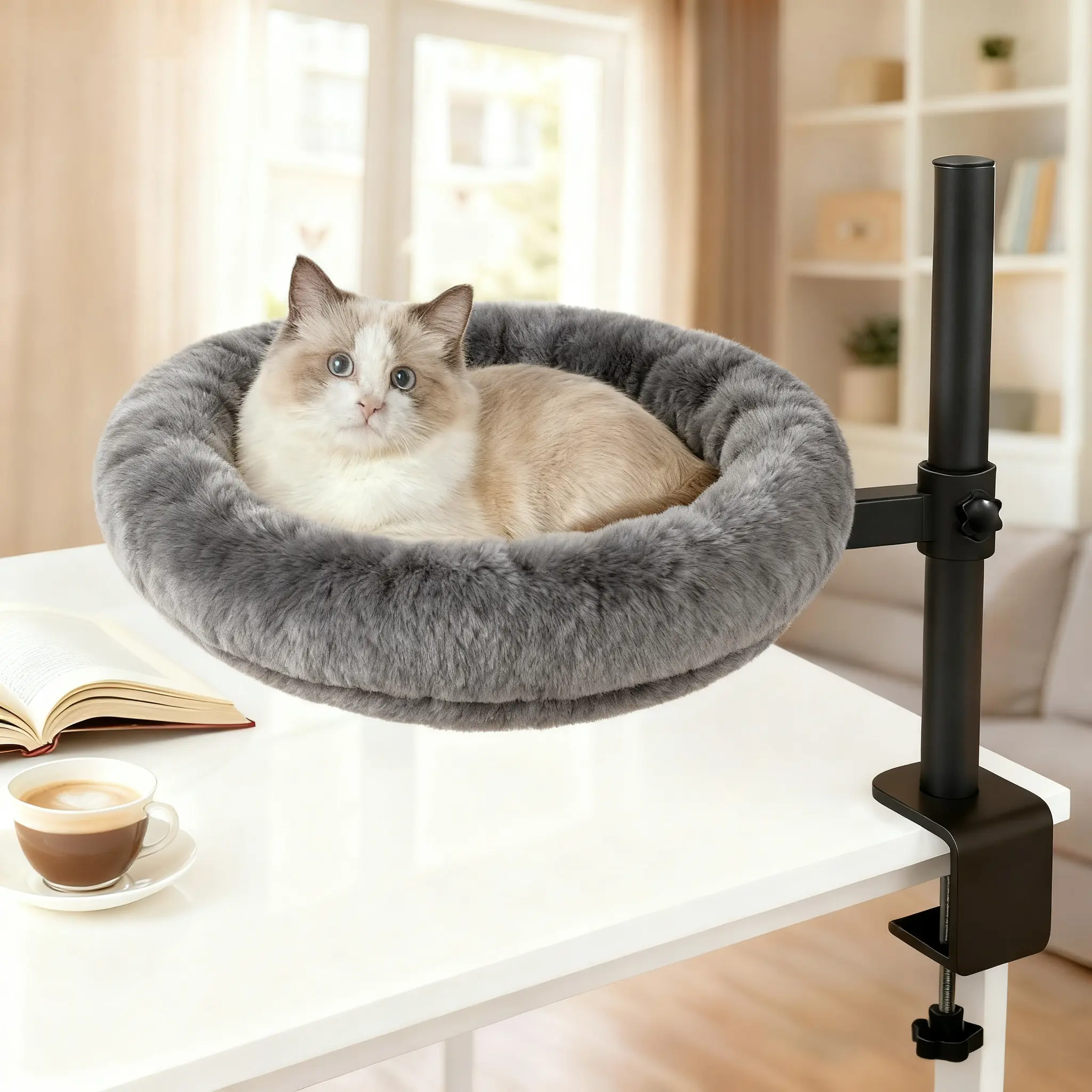 Plush Gray