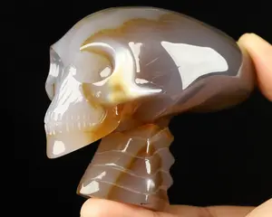 3.7" Premium Brazilian Agate Carved Crystal Mayan Alien Skull & Spine, Crystal Healing