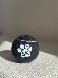 Squeaky Tennis Ball - Black Night