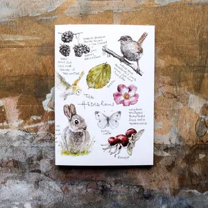 The Hedgerow Notebook - A6 Plain Paper, nature sketchbook