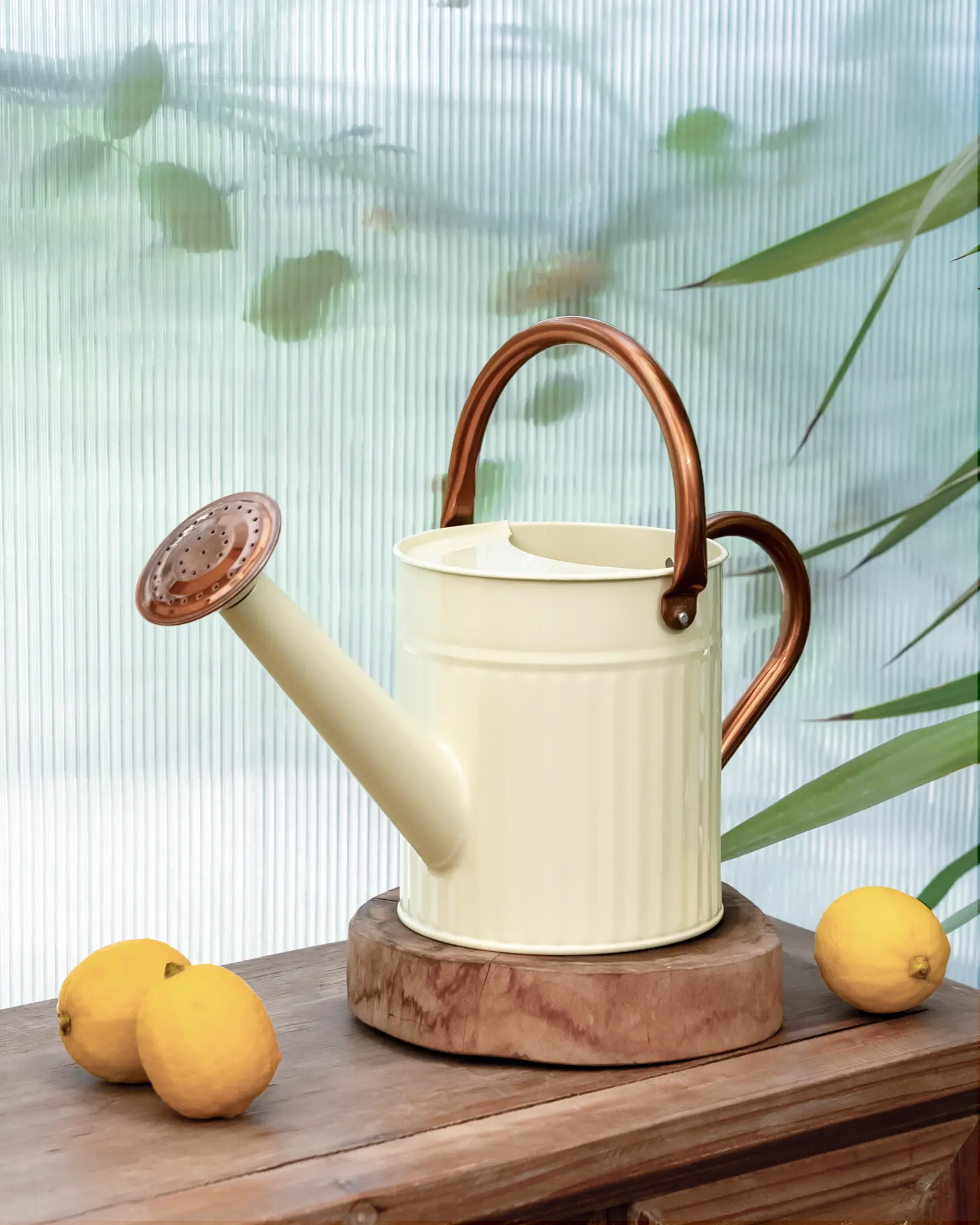 Bamworld Vintage Stainless Steel No-Drip Watering Can, 0.5 Gal Compact Capacity, Durable with Adjustable Removable Spout & Metallic Embossed Finish, Creamy Indoor-Outdoor Garden Plant Tool for Home Décor, Adjustable Spout, No-Drip Watering Cans