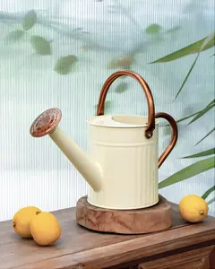 Bamworld Watering Can for Indoor Outdoor Plant Metal Watering Can with Removable Spout Embossd Design Plant Watering Devices Stainless Steel 1/2 Gallon Watering Cans Perfect Home & Garden Décor Creamy