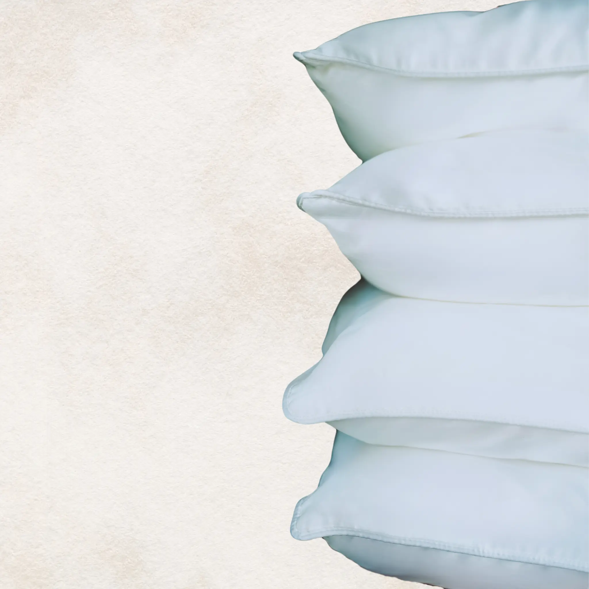 King Pillow Shams - Paulette Maray Signature Piped Cotton Sateen – Luxury Shams in Snow White