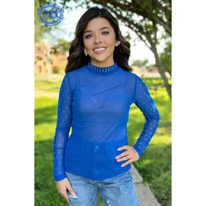 Sapphire Mesh Top