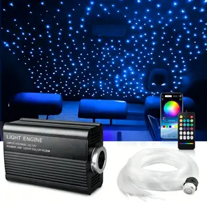 RGBW Fiber Optic Mechanical Accessory Kit, 500 Strands 6.56FT(2m) PMMA Cable, 16W Control Unit with APP & RF Remote for Indoor Ceiling Decoration Fitting