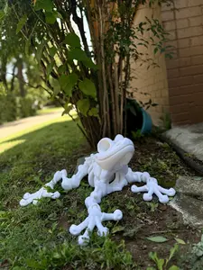 XXL Articulated Frog Skeleton - Giant Poseable Model Glam High-Quality 3D Printed Filament Eye-Catching Desk Centerpiece Garden Guardian Collector's Display