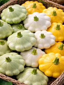 3 Colors Mix Patty Pan (Bush Scallop Squash) Seeds