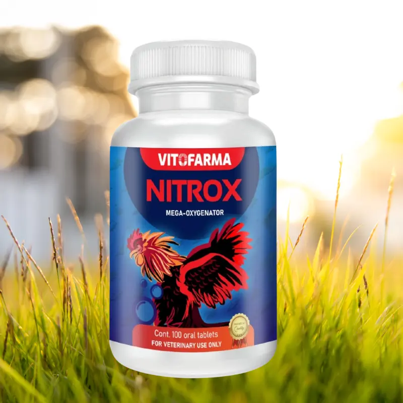 Tiloxina 60ml – Antiinflamatorio - Vitofarma