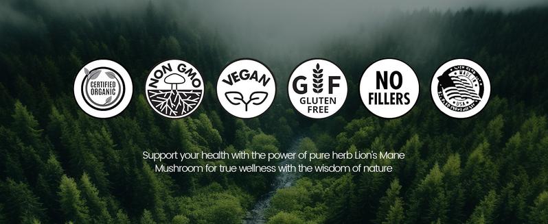 TikTokShopBlackFriday NOORUZ Lion's Mane 900mg with Blueberry Antioxidants - Memory, Focus, Mood & Nerve Support - 2-in-1 Anti-Aging Brain Formula Mental Clarity Nutritional Supplement Healthcare Fitness