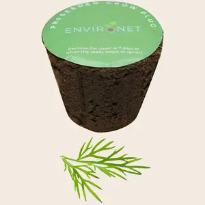 3" Preseeded Herb Seeds Starter Plug - Dill