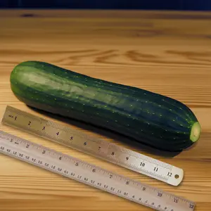 The PicStik 12 Inch Ruler that is 10 Inches Long