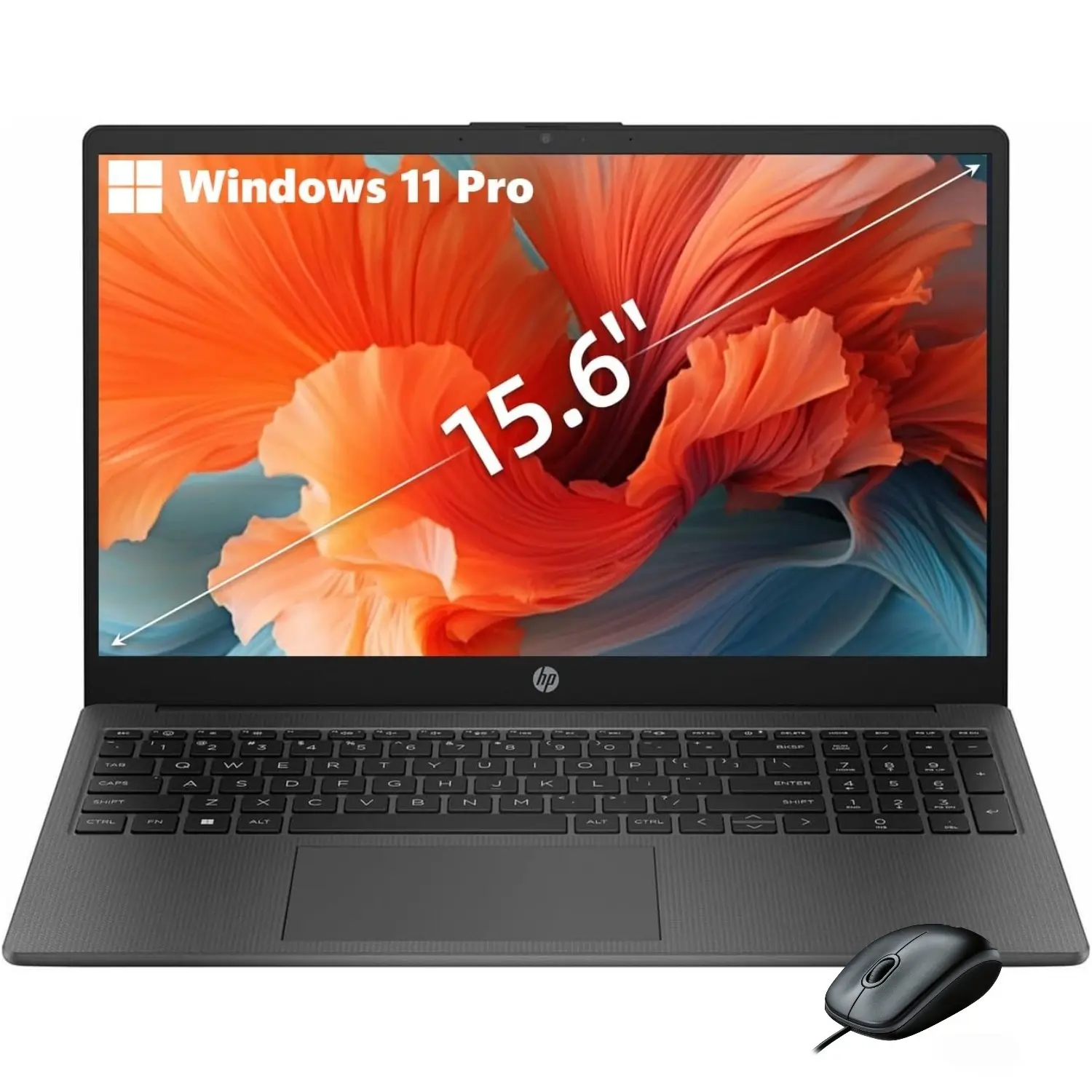 HP 255 G10 Laptop for Business 2025, 15.6" FHD, AMD Ryzen 7 7730U (up to 32GB RAM | 1TB SSD), Numeric Keypad, Webcam, WiFi 6& Bluetooth, Windows 11 Pro,Wired Mouse