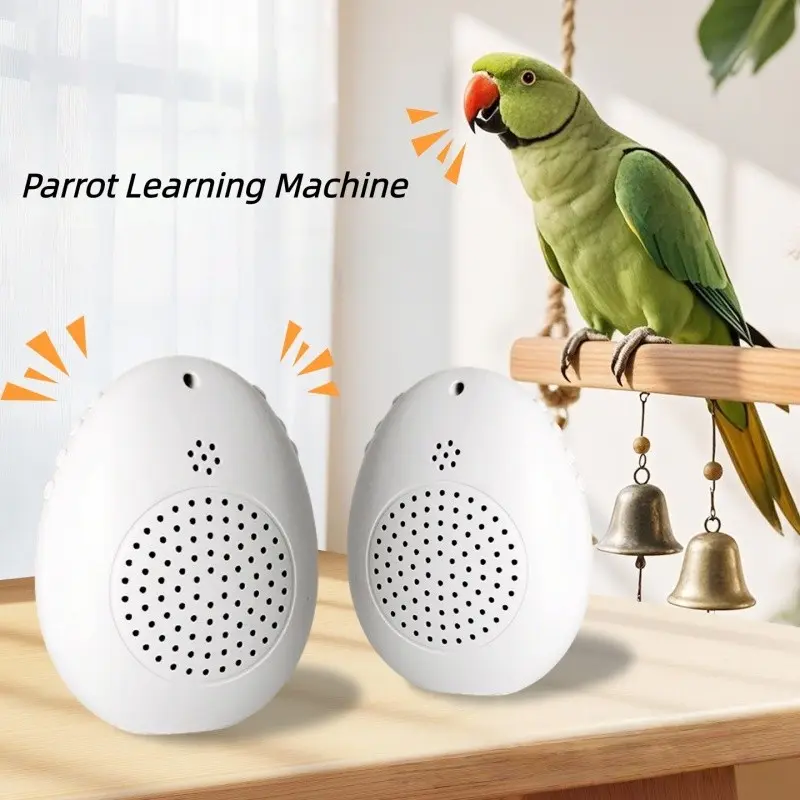 Teach Your Parrot to Talk Quickly, Smart Learning Machine, Easy ...