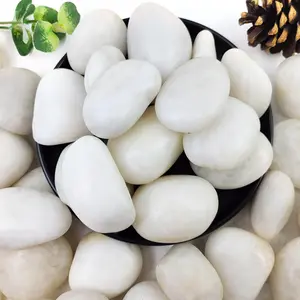 5lbs White River Rocks, 2-3 Inch  Pebbles for Indoor , High Polished Decorative Stones Vase Filler Fish Tank Aquariums Landscaping Garden Outdoor and Indoor DIY