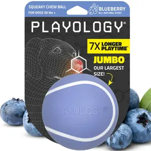 Playology Blueberry Scented Squeaky Chew Ball Dog Toy, Jumbo