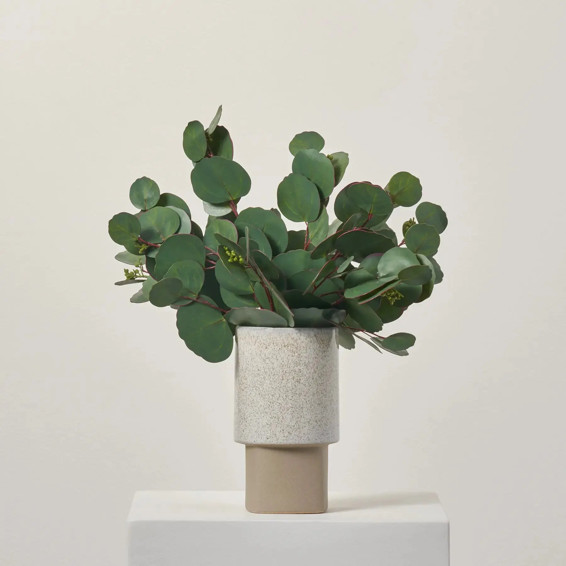 12-Stem Synthetic Real Touch Seeded Silver Dollar Eucalyptus Bundle Bouquet, Decorative Artificial Leaf Plants for Room Decor