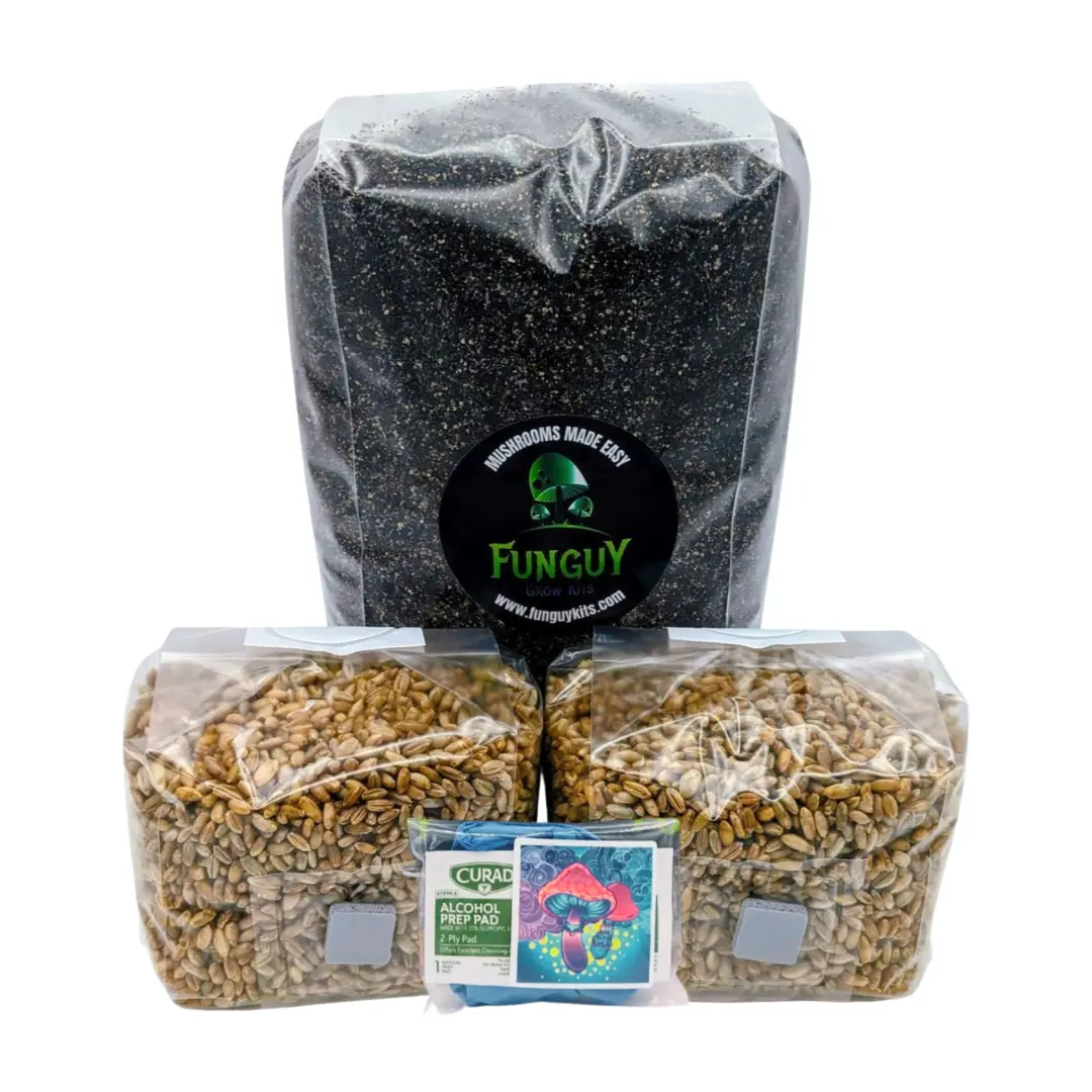 FunGuy Grow Kits - Mushroom Growing Kit Rye Grain Spawn Bags + Substrate Grow Like Magic