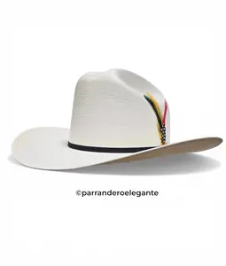 Cuernos Chuecos 100x Johnson Shantung Hat