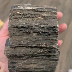 Petrified wood