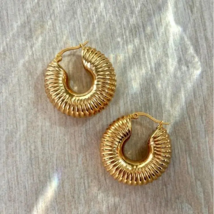 Hoops  earrings hipoalergenico Stanley steel