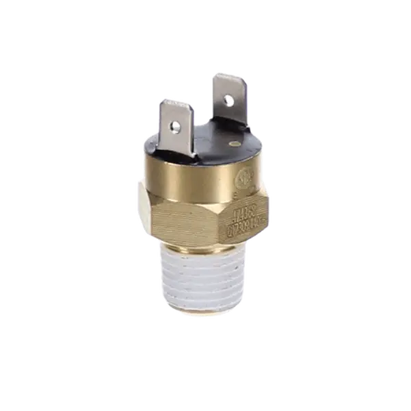 Pentair MasterTemp Pool Heater Automatic Gas Shutoff Switch | 42002-0025S