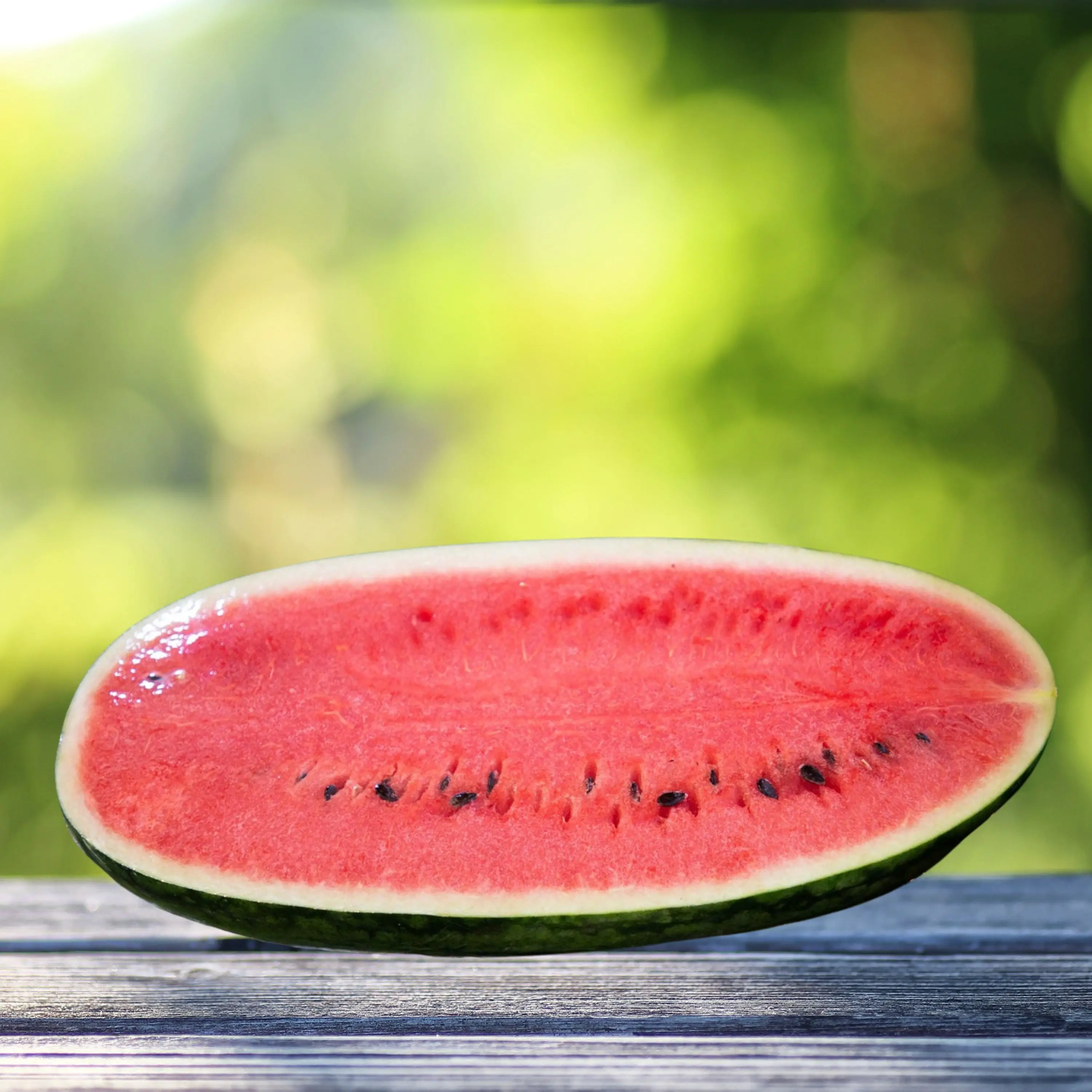 Heirloom Congo Watermelon Seeds - Grow Seeded Sweet Watermelons