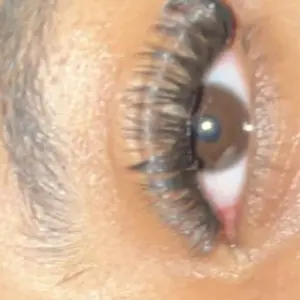 Product Review of Natural Look Eyelash Extensions Set with False Lashes, Tweezers, Glue, Remover and Fixer, Professional Accessories for Women's Summer Makeup from .**